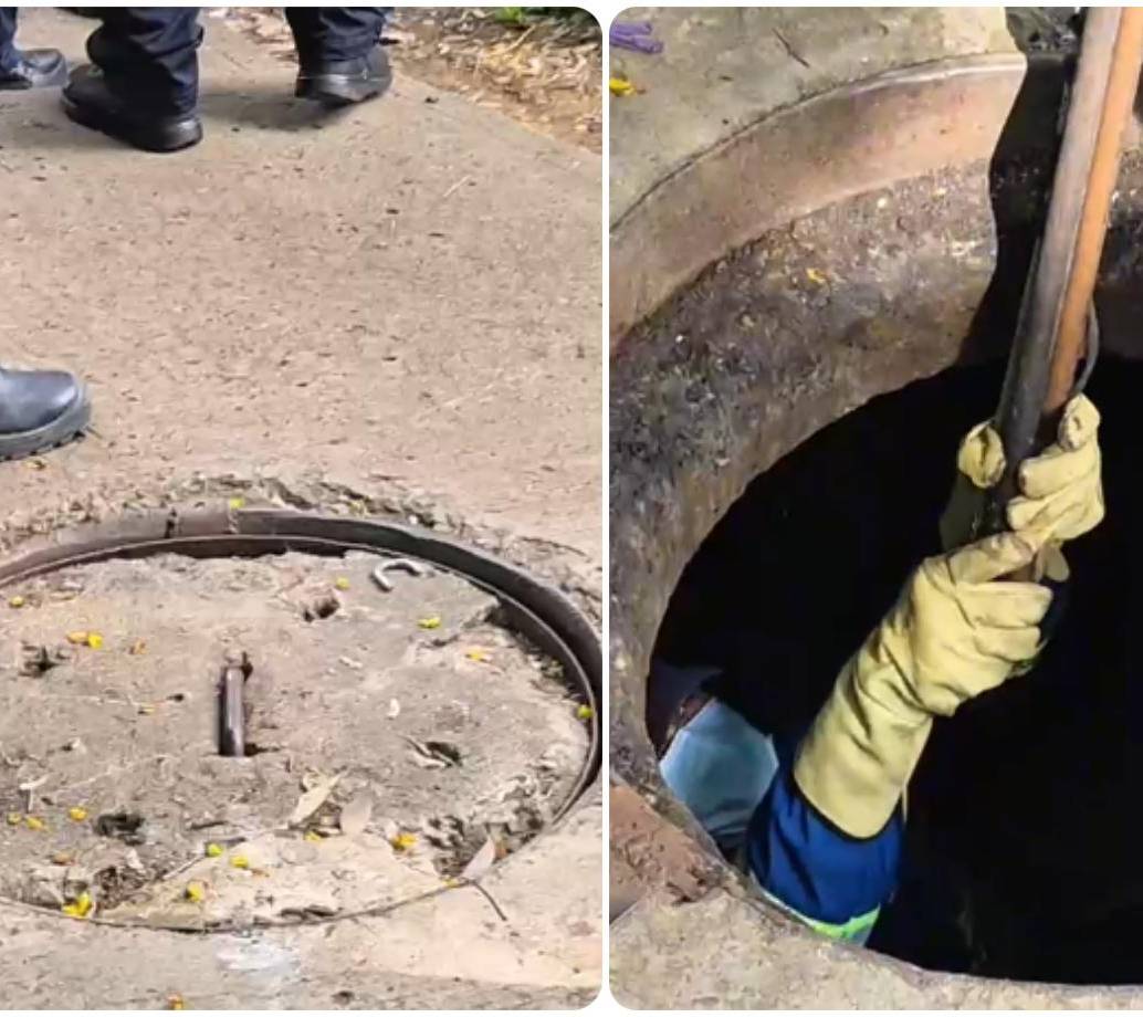 Aspecto de la alcantarilla que fue intervenida por las autoridades en El Poblado. FOTOS: Cortesía Secretaría de Seguridad de Medellín