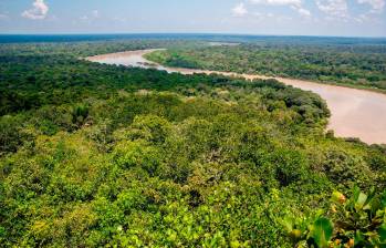 La restauración y protección de los bosques es una de las prioridades de los territorios que integran el GCF Task Force, una red que impulsa soluciones locales frente a la crisis climática. FOTO: Juan Antonio Sánchez