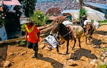 La pobreza multidimensional en Antioquia escaló al 10,9% durante 2024, según el Dane. FOTO JULIO CÉSAR HERRERA