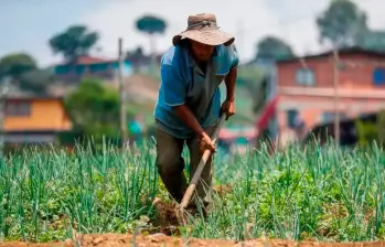 La ANT entregó 85 nuevos títulos de propiedad a campesinos de Cáceres (Antioquia). FOTO MANUEL SALDARRIAGA