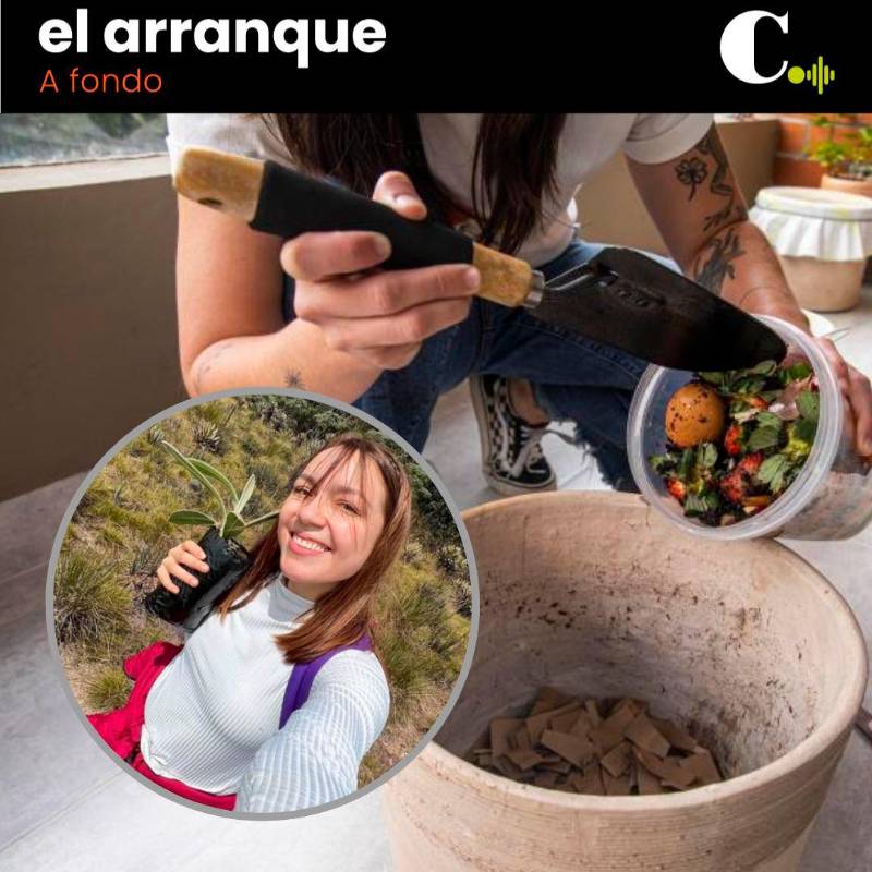 ¿Cómo aportar desde el hogar en la mitigación del cambio climático?